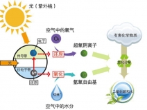 什么甲醛治理辦法效果好持續(xù)時間長？