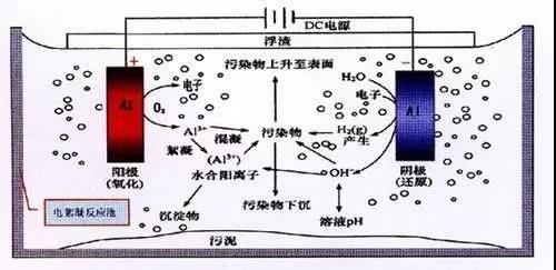 我買了一個(gè)甲醛檢測(cè)儀，吹口氣后發(fā)現(xiàn)原來(lái)我才是“地表最強(qiáng)”污染源！