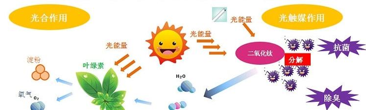 甲醛治理用什么辦法最正確？這三點常見的除甲醛辦法其實是誤區(qū)