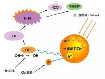 杭州除甲醛的優(yōu)效方法有哪些？