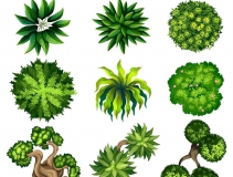 可以凈化室內(nèi)空氣的植物，這二十種您需要好好了解一下！