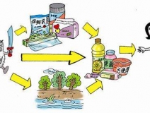 食品中有塑化劑嗎？這些食品中含有大量塑化劑，食用時一定要注意！