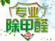 除甲醛公司的專業(yè)性表現(xiàn)在哪些方面？