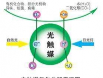 您知道或者聽說過光觸媒嗎？
