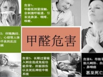 哪些綠植可以除甲醛？