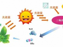 家中甲醛超標(biāo)，什么才是甲醛治理的正確姿勢？