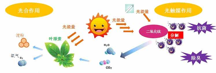 家中甲醛超標(biāo)，什么才是甲醛治理的正確姿勢？